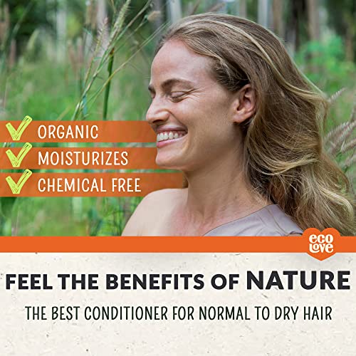 Ecolove - Natural Conditioner For Dry, Damaged Hair And Color Treated Hair - No Sls Or Parabens - With Natural Carrot And Pumpkin Extract - Vegan And Cruelty-Free, 17.6 Oz #TOP3
