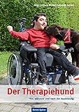 Der Therapiehund - Vor, während und nach der Ausbildungildung
