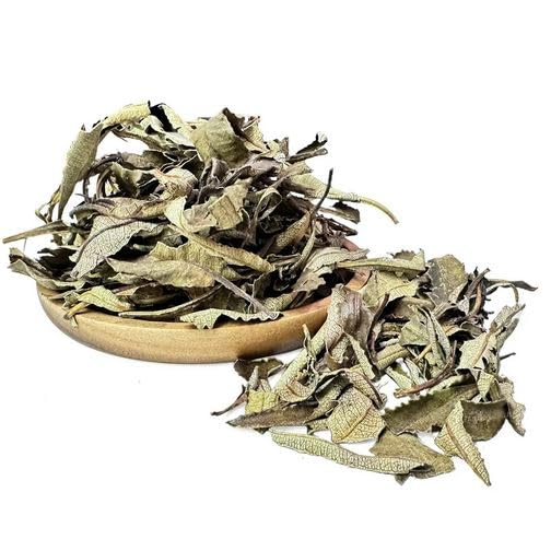 Miniatura 4 de NY SPICE SHOP Hoja entera de yerba santa - Hoja de yerba santa cruda - Té de hoja de yerba santa (suelto) - Té de hojas sueltas puro - Hojas de té