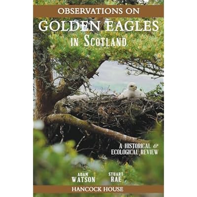 Observations of Golden Eagles in Scotland