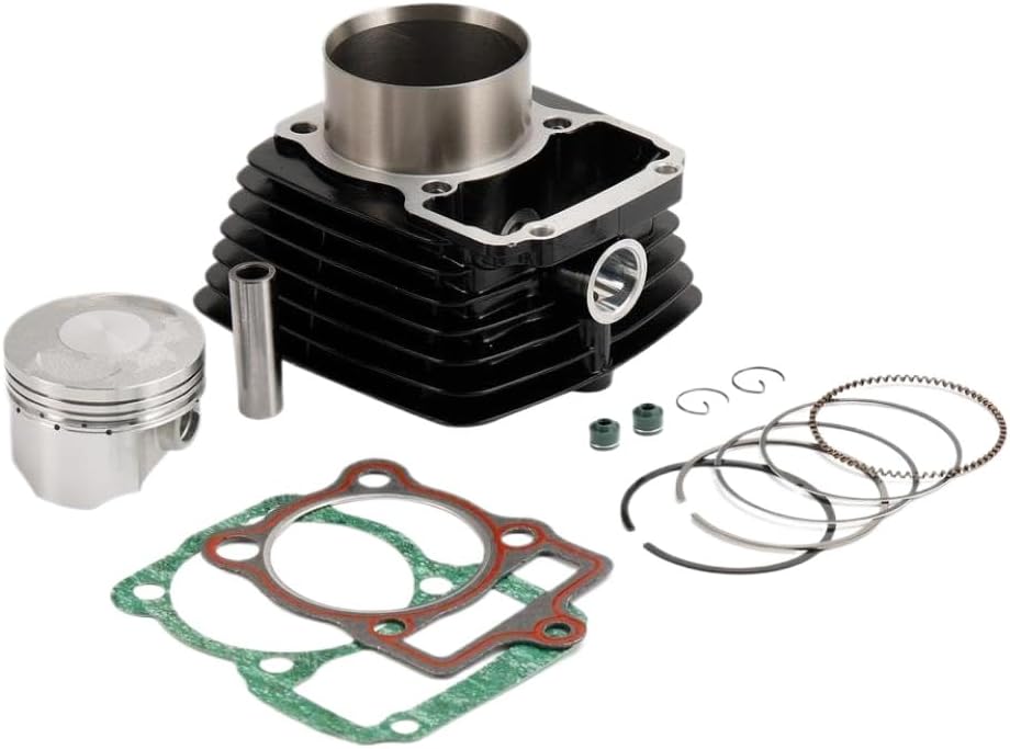 67mm Cylinder Piston Rings Gasket Kit with 16mm Piston Pin Bore for EX200 RT200 and Negra Engine Models