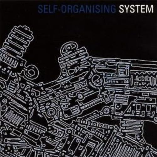 Self-Organising System