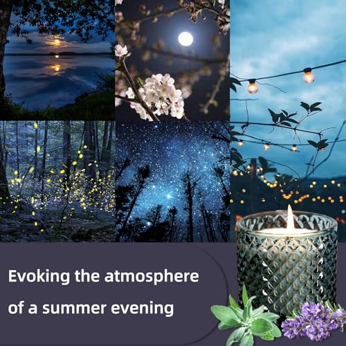 Citrus Herbaceous & Lavendery Sage Scented Candles,Gifts for Men Women,Large Jar Candle for Home Scented, Aromatherapy Candle, Organic Soy Wax Scented Candle, Bedroom Decor - Image 3