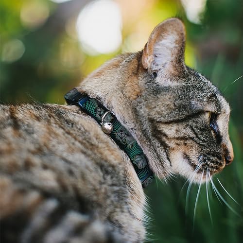 Image of Buckle-Down Breakaway Cat Collar - Cheshire Cat 4-Poses Checkers Teal /Black - 1 /2 inch Wide - Fits 8-12 inch Neck - Medium