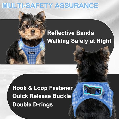 AIITLE Atmungsaktives Hundegeschirr aus Netzstoff, No-Pull-Westengeschirre mit reflektierenden Bändern, verstellbare Haustier-Outdoor-Geschirre für kleine und mittelgroße Hunde, Blau, M