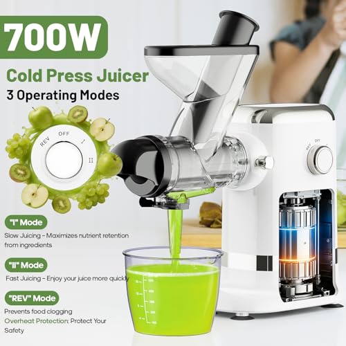 Image of GVODE Electric Cold Press Juicer, Masticating Juicer with Dual Feed Chute