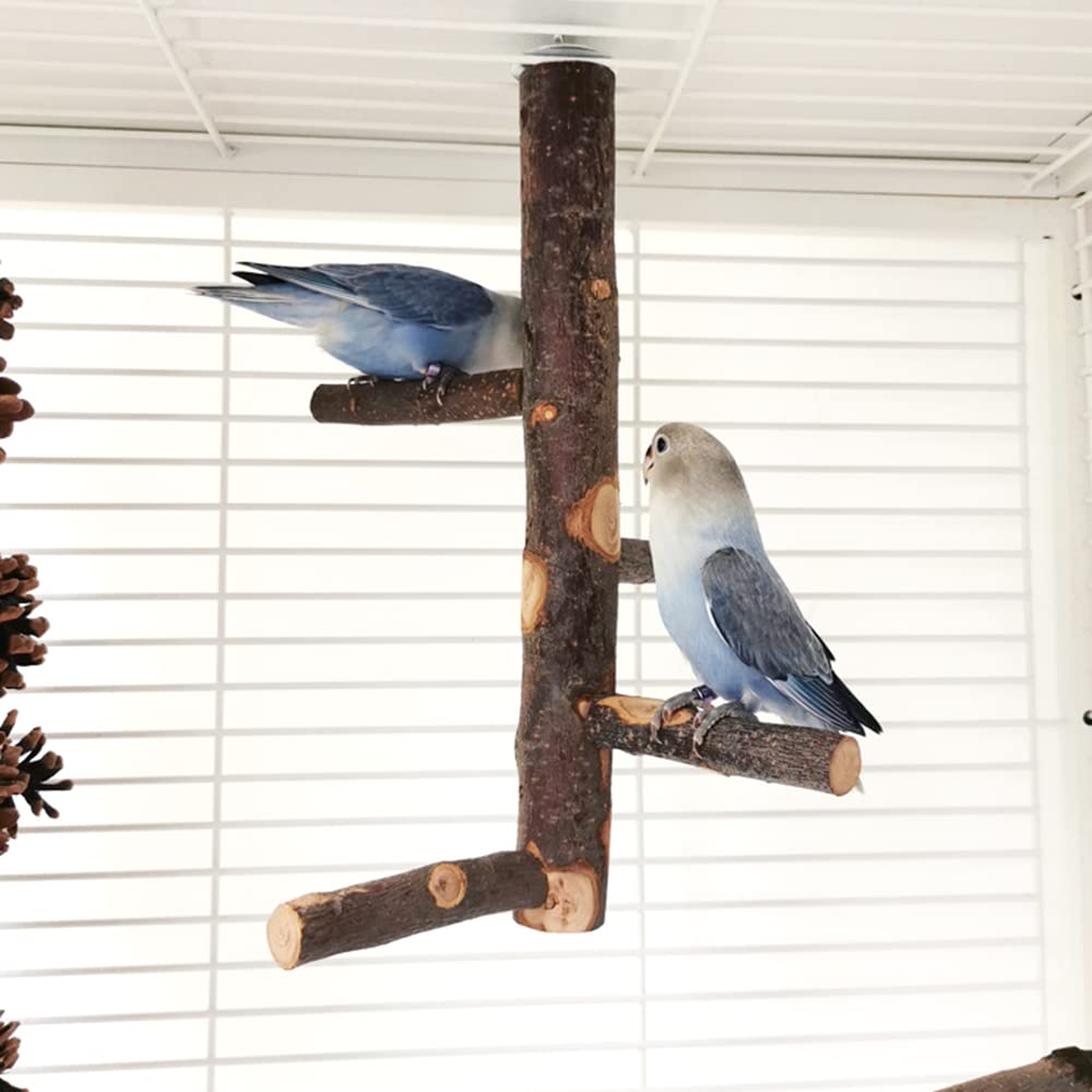 Legno Naturale Gabbia per Uccelli, Supporto in legno per pappagalli, Giocattolo per Pappagalli, Uccello Persico Pappagallo, per Parrocchetti, Calopsitte, Conuri, Uccelli Innamorati, Fringuelli