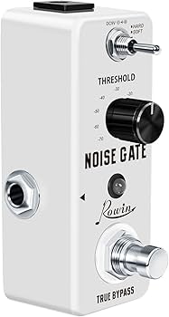 Amazon.com: Rowin LEF-319 Noise Gate Pedal - Dual Mode (Hard/Soft