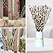 Natural Preserved Dried PussyWillow Branches for Vases, 25 Stems Real Willows, 15
