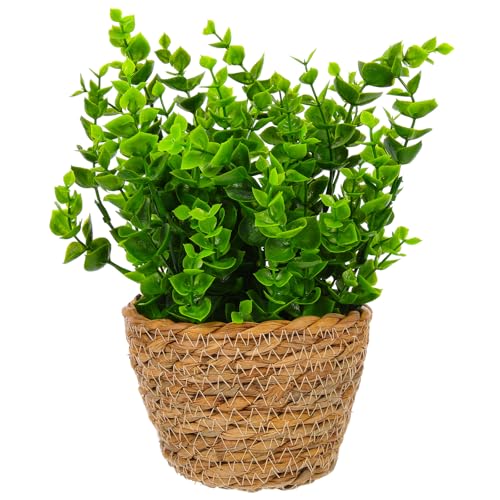 SAFIGLE lHA ~͕tFCNvg fXNgbvi ItBX⃊rOp VvŗF ̓ ɂK^