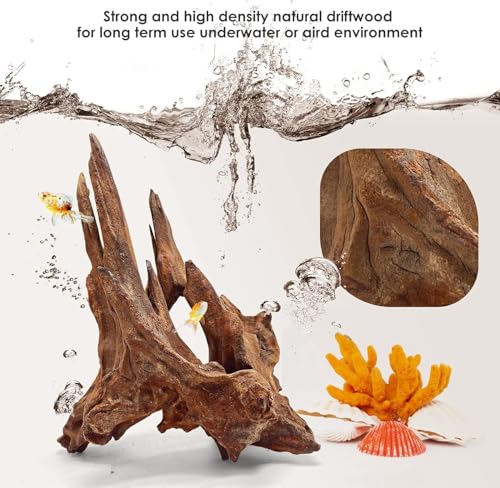 Image of Jorewood Natural Small Aquarium Driftwood for Fish Tanks & Reptile Terrariums - Safe Fish Tank Decorations, Unique Twisted Branches 10-Piece 2-4 Inch Low Tannin, Easy to Sink
