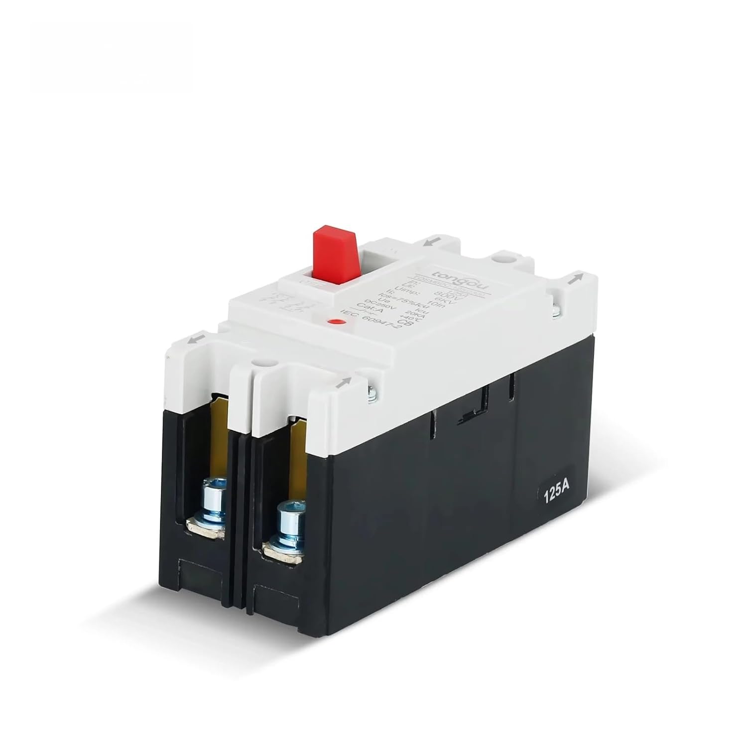 100A 2Pole MCCB Moulded Case Circuit Breaker
