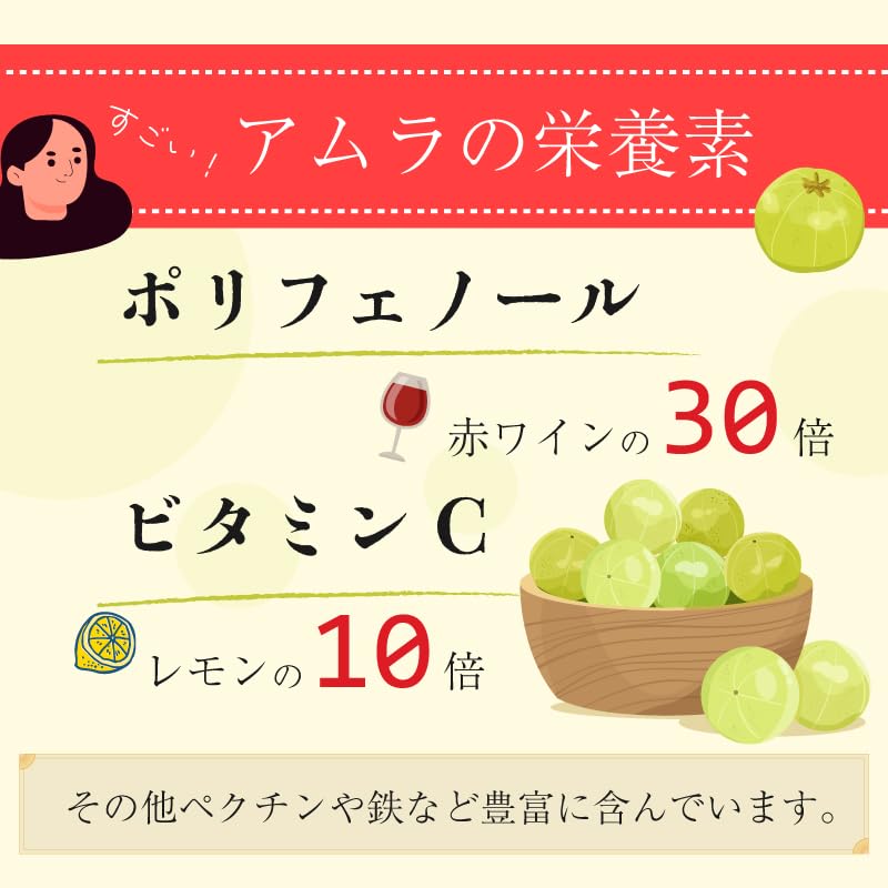 Amazon.co.jp: アムラパウダー 無添加 オーガニック 100g 有機 JAS認証