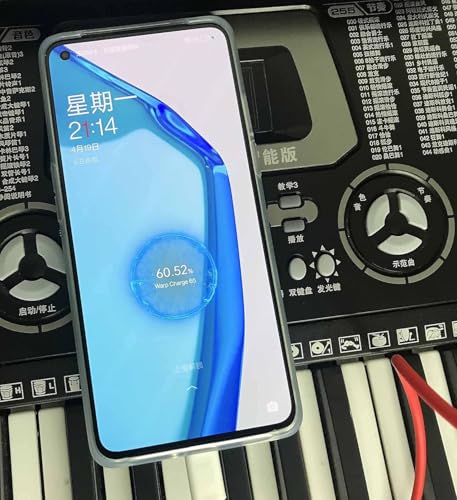 Image of The Black Store 65W Charger Compatible with Oneplus 9Pro|9| 9R9RT| 2T C to C (65WAC10)