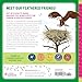 Birds for Kids: A Junior Scientist's Guide to Owls, Eagles, Penguins, and Other Bird Species