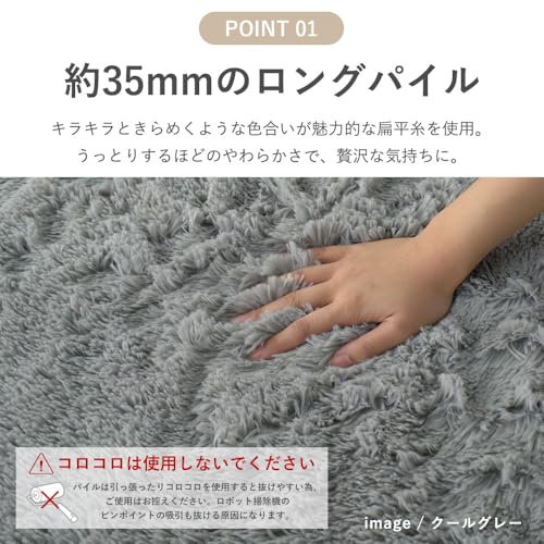 Natural Posture 玄関マット 室内 洗える シャギー 50×80cm 屋内 マット おしゃれ 北欧 滑り止め かわいい 韓国 モダン シンプル 楕円 アイボリー ナチュラルポスチャー CM-205 [3]