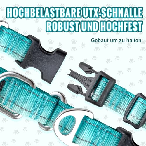 Arblina Martingale Halsband, Reflektierendes Zugstopp Halsband Hunde für Große Mittlere und Kleine Hunde, Nylon Hundehalsband Anti Zug, Anti-Pull Collar for Dogs, Türkis, M