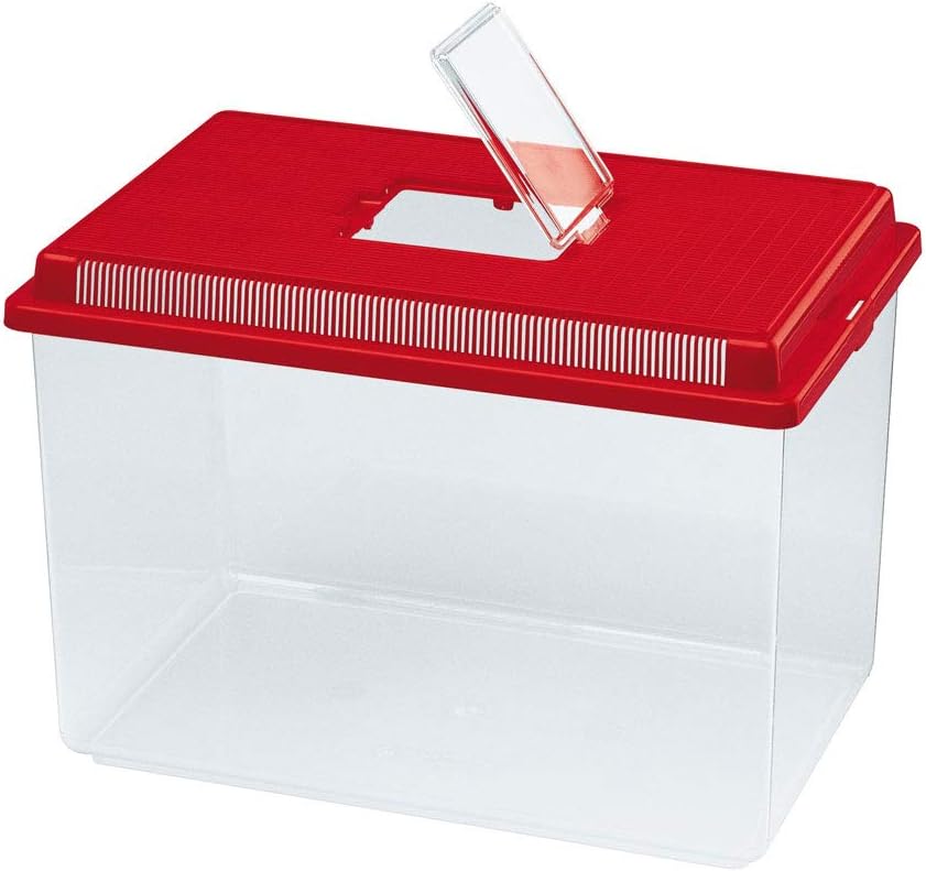 vasca per tartarughe