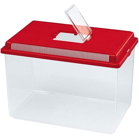 plastic tanks for fish