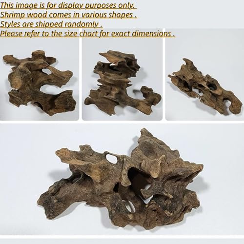Image of 4 Pcs Natural Aquarium Driftwood Shrimp Wood, 3.94-5.91 inch (10-15cm) Assorted Branches & Trunk, Terrarium Ornament & Habitat Decor for Fish, Shrimp and Reptiles