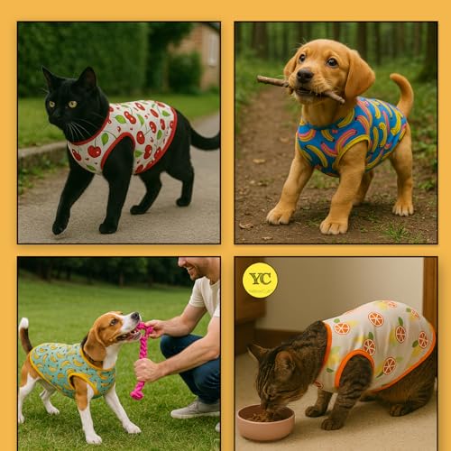 Image of Yellowcult Cute Cat T-Shirt Clothes, Summer Sweetshirts Fruit Pet Random Design mesh Outfit for Large Dogs, cat, Puppy, Kitten, Diwali, Festival, Travel, Outing, Photos (XXL- Any 1)