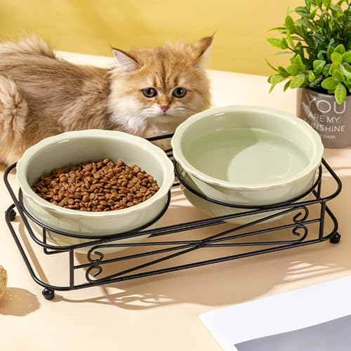 Cuencos de agua de comida para comedor para gatitos en casas modernas 6