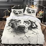 Fabrication exquise : le bord de couture à double aiguille, comparé à d'autres housses de couette, est plus durable. Motif clair, longue durée de vie.