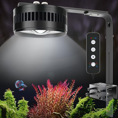 Image of AQQA Clip On Aquarium Light, Full Spectrum LED Fish Tank Stream Light | with 3 Modes (White /RGB /Full Spectrum), Timer & 6 Brightness Levels, Adjustable Clamp for Freshwater Plants Fish Tanks
