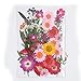 Produktbild Manyao Gepresste Blumen kleine Getrocknete Blumen Scrapbooking trocken DIY Konservierte Blumen-Dekoration Home Mini Mixed Petals (Color : D.9)