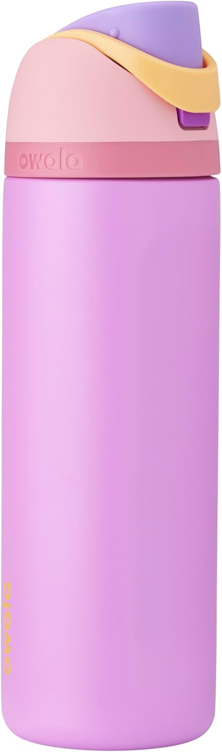 Owala Disney Princess FreeSip Insulated Stainless Steel Water Bottle with Straw for Sports