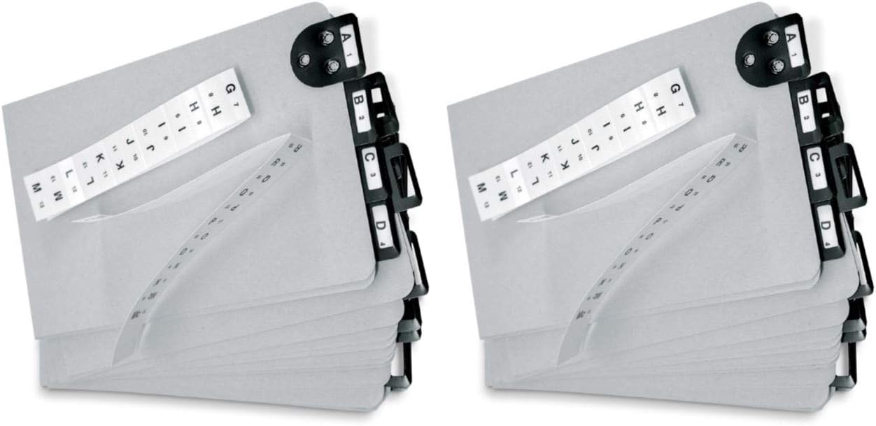 14254 Posting Tray Index Sets (Pack of 2); Designed for use with V-Matic, Porta-Matic and Card-Matic Posting Tray Sets, Dimensions 6" x 9"