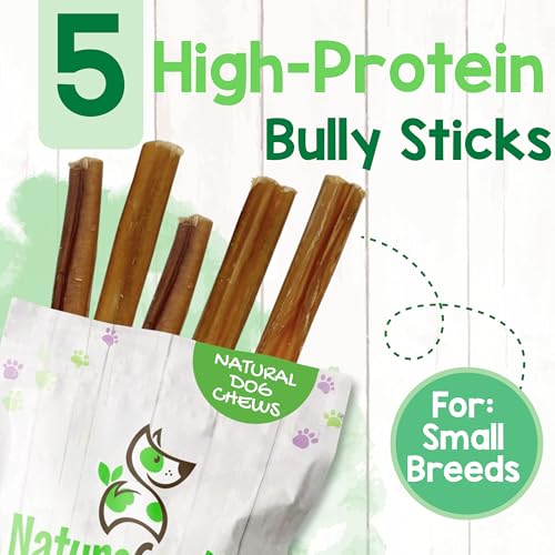 Image of Nature Gnaws Small Bully Sticks for Dogs 5-6 inch (5 Count) - Long Lasting for Light Chewers and Puppies - Natural Thin Beef Dog Chew Bones - Rawhide Free