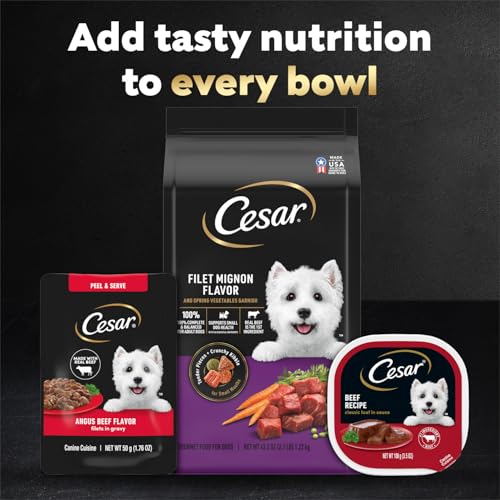 Image of Cesar Filets in Gravy Wet Dog Food, Angus Beef Flavor, 1.76 oz. Mini-Pouch, 20 Count