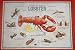 48 Lobster - How to Eat in 8 easy steps - Placemats 48 Sheets Paper Disposable