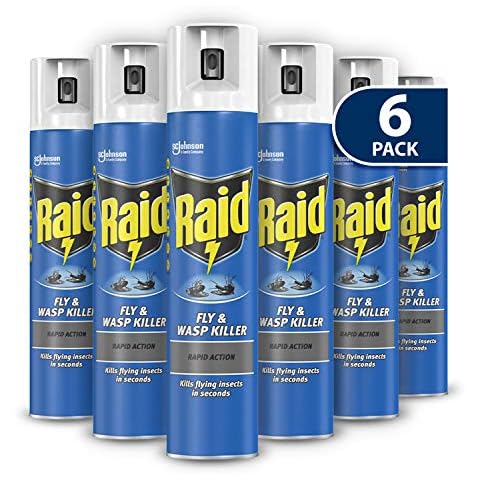 Raid Rapid Action Fly & Wasp Killer 300ml, Pack of 6 Cover