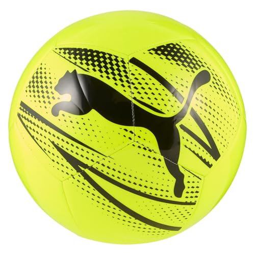 Balones Futbol Sala Munich Marca PUMA