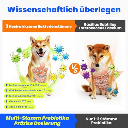 10-in-1 Probiotika für Hunde - 500g Leckerli mit wertvollen Kulturen & Präbiotika. Für das tägliche Wohlbefinden. Einfache Fütterung, hohe Akzeptanz. 300 Snacks