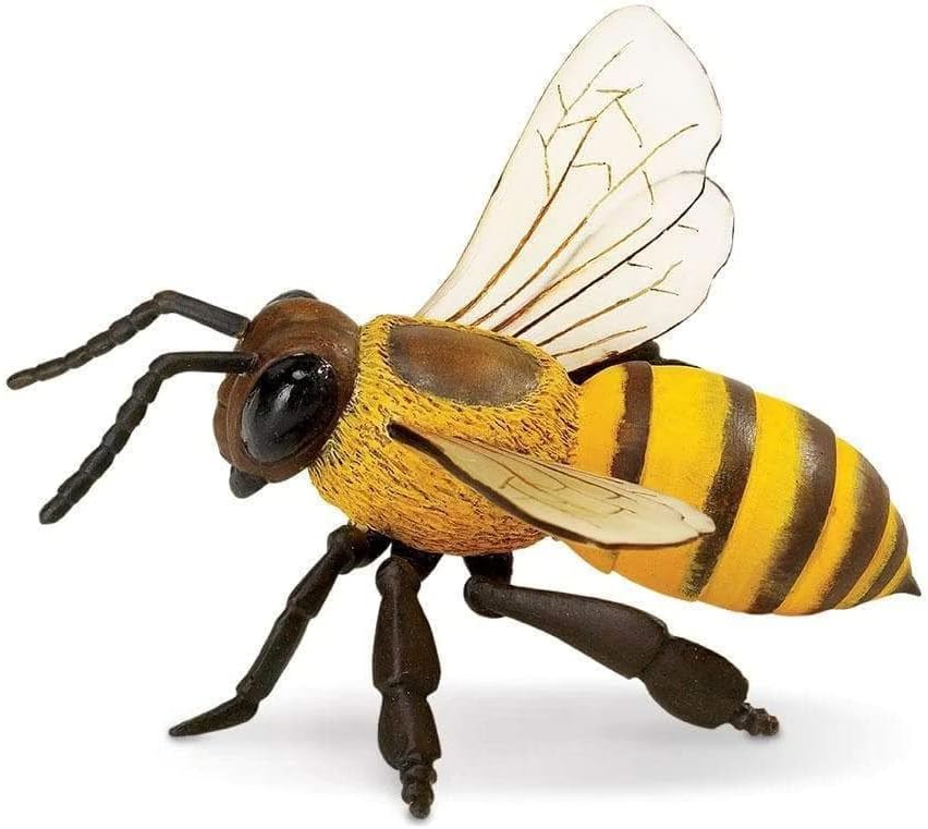 Safari Ltd. - Incredible Creatures Collection - 5.5" x 7" Honey Bee Figurine - Non-toxic and BPA Free - Ages 3+