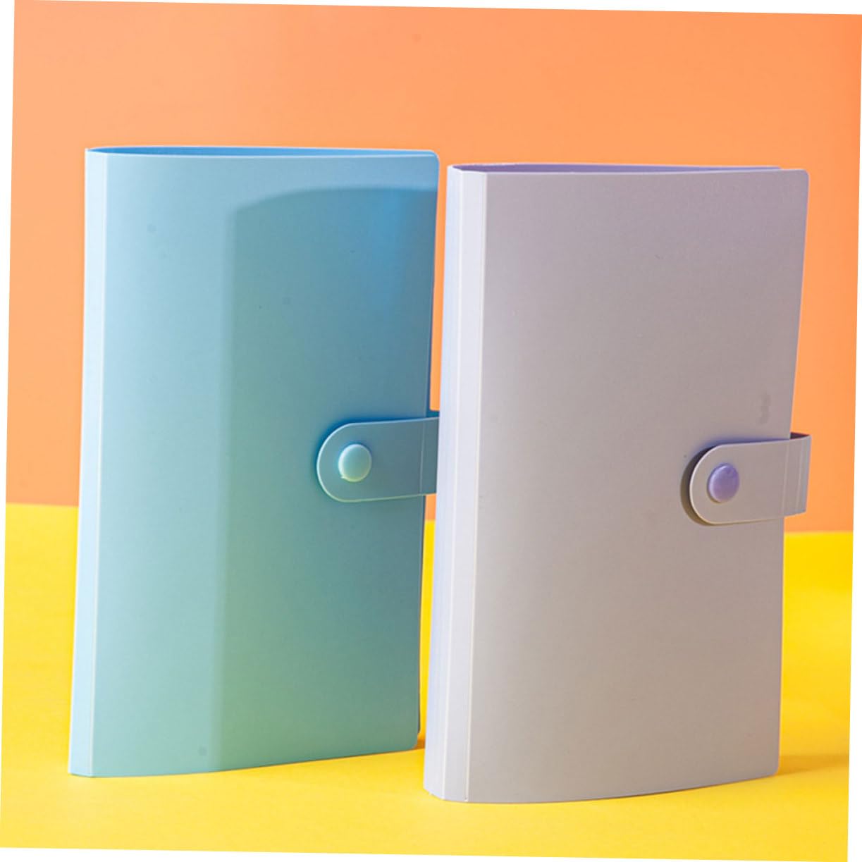 Porta Billetes Conmemorativos 4 Libros de Pp, Bolsa Protectora
