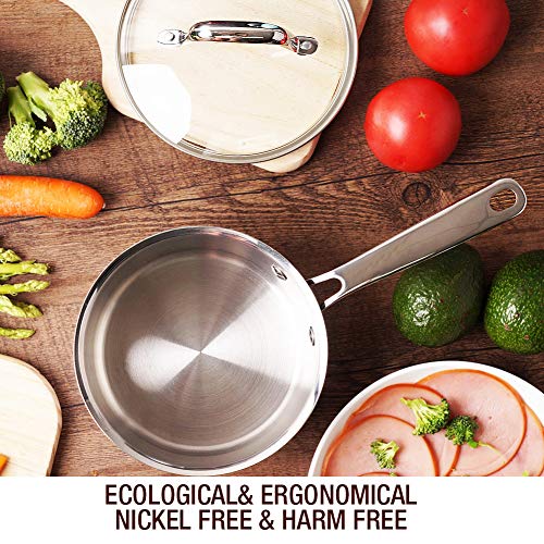 HOMI CHEF Mirror Polished Copper Band Nickel Free Stainless Steel 1 QT Saucepan with Glass Lid (No Toxic Non Stick Coating, 6.5 Inch) - Small Saucepan Induction Pan with Lid - Non Toxic Cookware - Thumbnail 4
