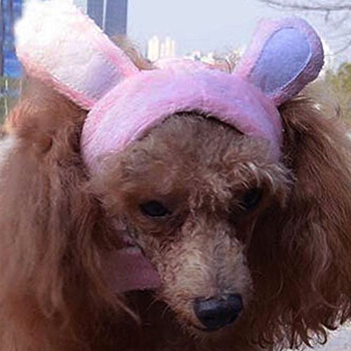 Bro'bear Bunny Rabbit Hat With Ears For Cats & Small Dogs Party Costume Accessory Headwear (Pink Bunny, Small) #TOP5