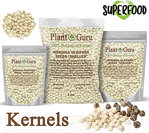 Moringa Seeds Kernel Shelled 5 Lbs. Bulk - Clean Pkm1 Variety - Edible - Moringa Oleifera - Malunggay - Semillas De Moringa - Drumstick Tree - Non-Gmo - 10,000 To 12,000 Seeds Approx. #TOP2