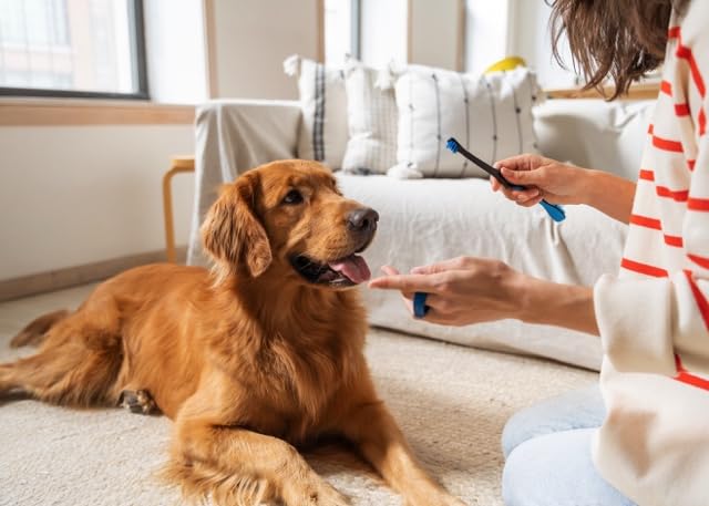 Paw Ready Doggy Breath to Doggy Fresh Dog Dental Care Kit Includes Enzymatic Toothpaste, Dual Brush Head Toothbrush with Angled Bristles and Blue Bite Block to Gently Keep Pets Jaw Open (Blue, Medium) - image 7