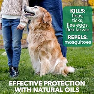 Hartz natures shield flea  tick spray treatment for dogs natural and effective flea  tick prevention and protection for dogs with cedarwood and lemongrass oil 14 ounces   cucciolini doodles