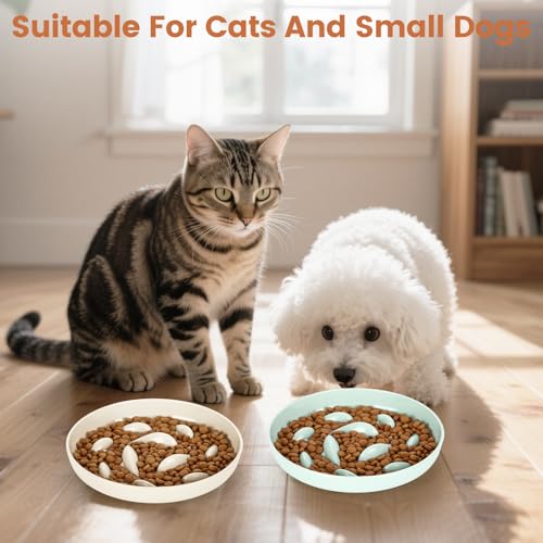IDOGCHEW Anti Schling Napf für Katzen 2er Pack - Gesundheitsförderndes Design mit Rutschfestem Boden, Ultra-Dauerhaft & Leicht zu Reinigen, Ideal für Alle Katzengrößen