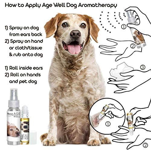 Image of The Blissful Dog Brittany Spaniel Age Well Spray Aromatherapy