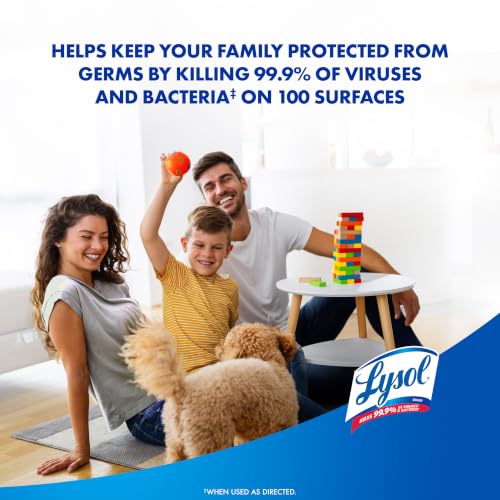 Image of Lysol Disinfectant Spray, Household Cleaning Supplies, Disinfecting Multi-Purpose Room Spray, Antibacterial Sanitizer, Deodorizer, Kills Hantavirus, Crisp Linen, 19 Fl Oz (Pack of 2)