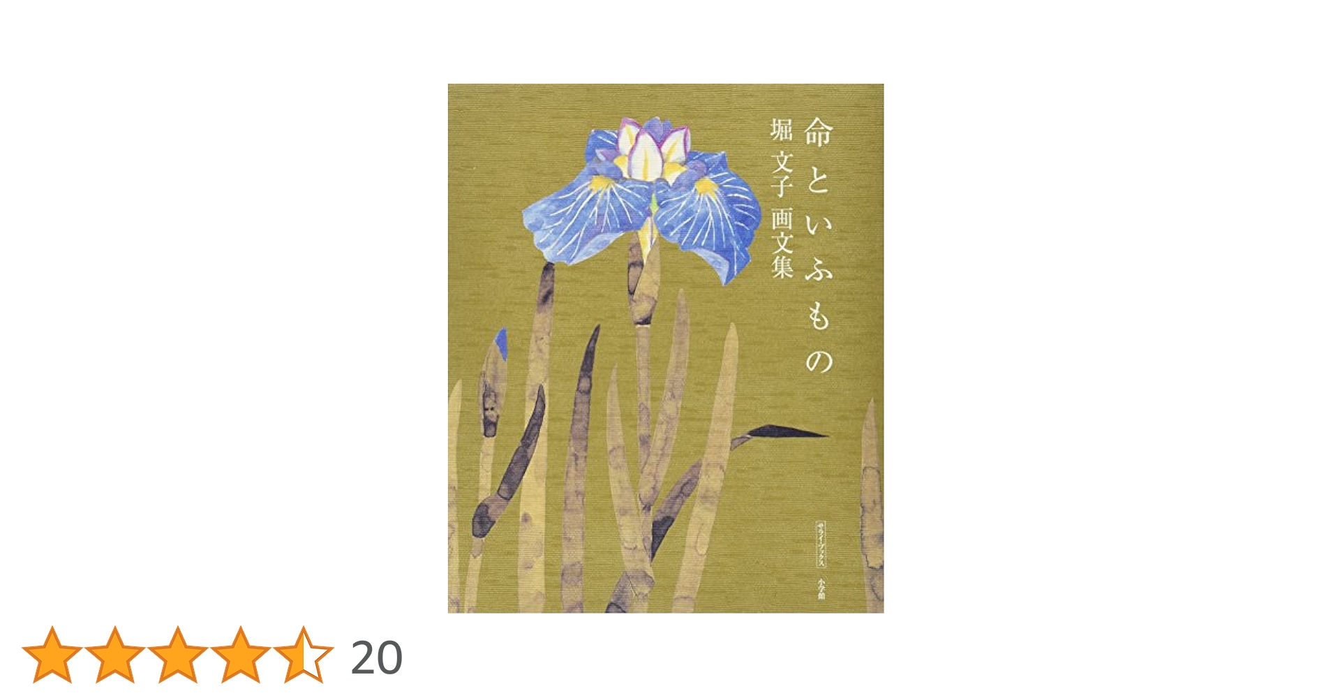 堀 文子、密林のモルフォ蝶、新品額装付、画集画、状態良好、年代物 堀 文子、密林のモルフォ蝶、新品額装付、画集画、状態良好