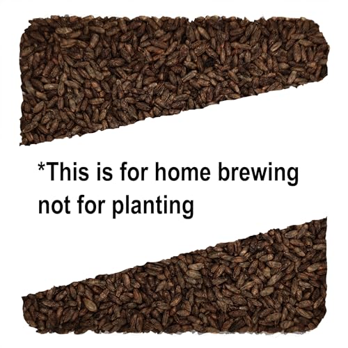 Weyermann Chocolate Rye Home Brewing Malt Whole Grain 1lb Bag