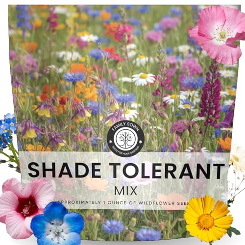 Shade Tolerant Mix 14 000 Wildflower Seeds for Pollinator Gardens 2026 Season 1 Ounce Pouch